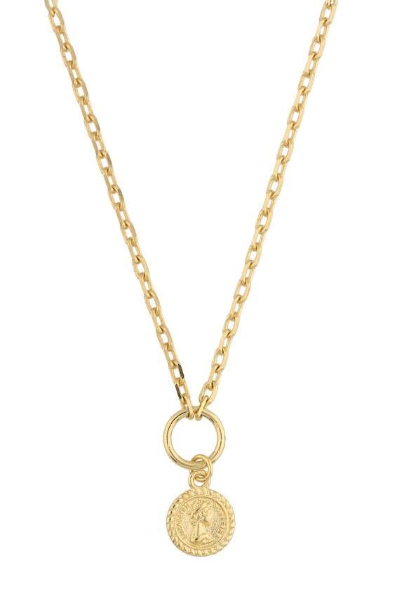 מגנוליה. 219 שקלים // צילום: אפרת אלון שמרי